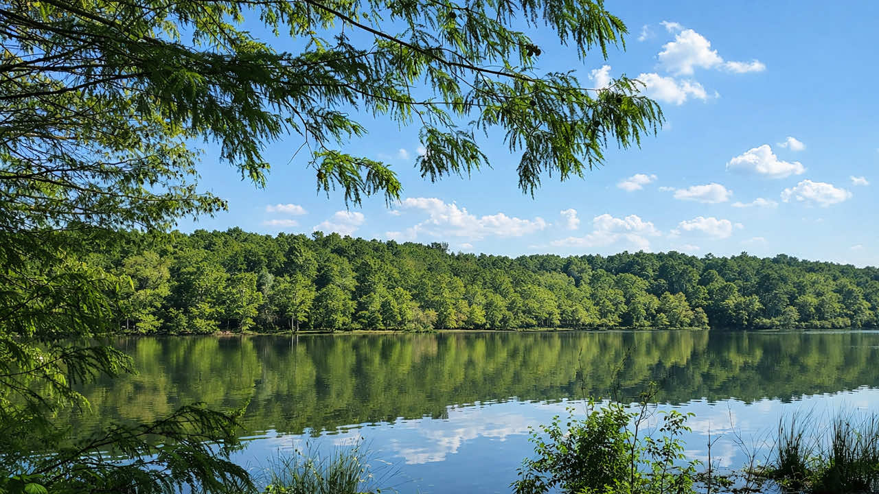 Watch Ouachita County Infrastructure